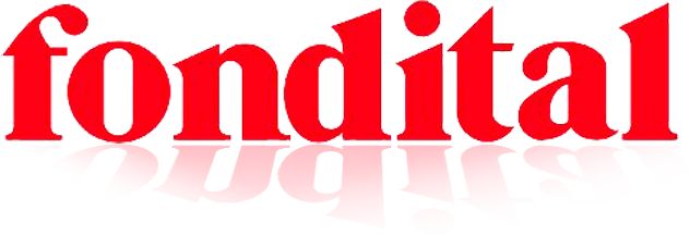 логотип компании Fondital