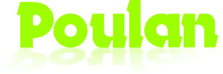 логотип компании Poulan